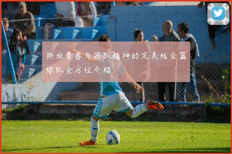 热血青春与团队精神的完美结合篮球队全方位介绍